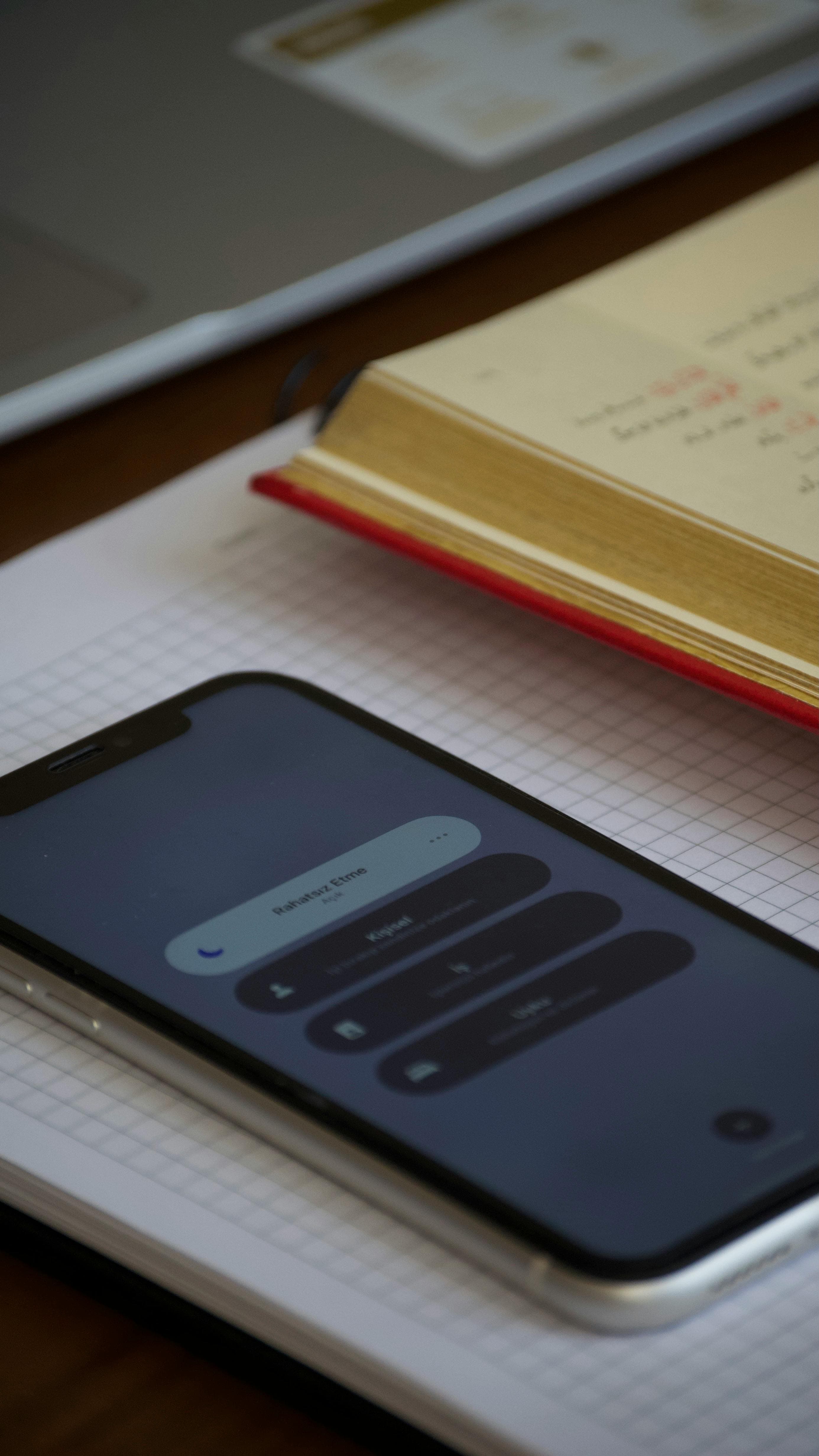 Interface da app Flutter de wellness social com grupos de apoio entre pares, check-ins diários e funcionalidades de registo de humor